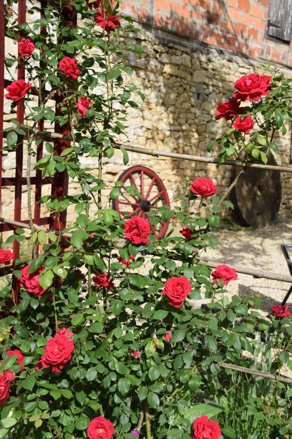 La Chabotine Bed and Breakfast Allas-Les-Mines Εξωτερικό φωτογραφία