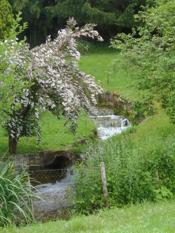 La Chabotine Bed and Breakfast Allas-Les-Mines Εξωτερικό φωτογραφία