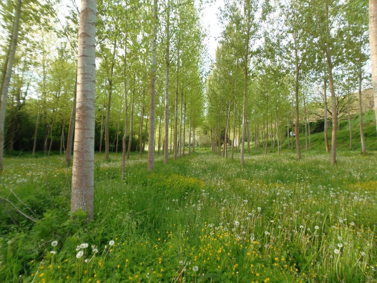La Chabotine Bed and Breakfast Allas-Les-Mines Εξωτερικό φωτογραφία